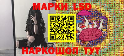 стафф Лесосибирск