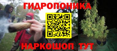 экстази Ливны