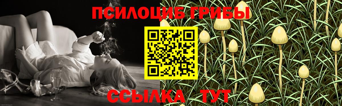 Галлюциногенные грибы прущие грибы Зима